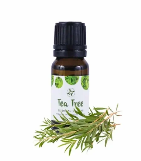 Skin Cafe Tea Tree Essential Oil 10ml